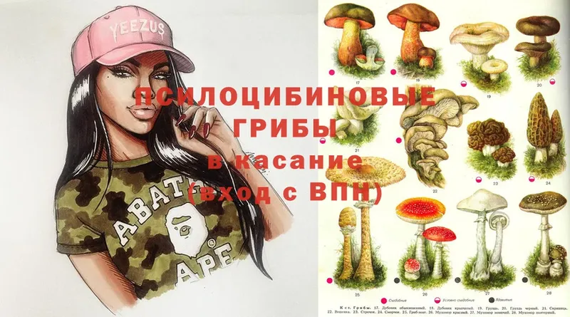 Псилоцибиновые грибы MAGIC MUSHROOMS Аткарск